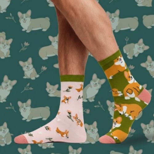 Calcetines Corgis
