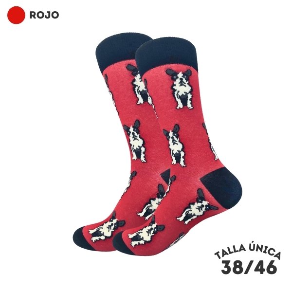 Calcetines de Perros | WALKCOLOR